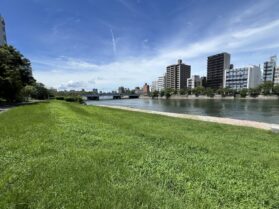 広島ワイン会　リバーフィールド1